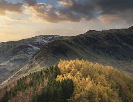 Epic landscape image of Autumn Fall with vibrant pine and larch trees against majestic setting of...
