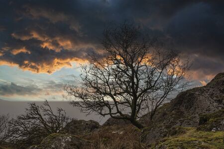 Stunning bare tree lanscape image against vibrant dramatic sunset sky