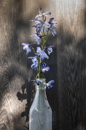 Beautiful vintage look applied to romantic flower and garden paraphenalia still life image with Spring and Summer seasonal blooms