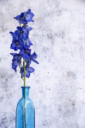 Beautiful vintage look applied to romantic flower and garden paraphenalia still life image with Spring and Summer seasonal bloomsの写真素材