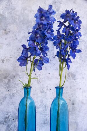 Beautiful vintage look applied to romantic flower and garden paraphenalia still life image with Spring and Summer seasonal bloomsの写真素材
