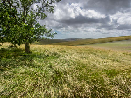 Beautiful landscape image of English countryside on lovely Summer afternoon overlooking rolling...