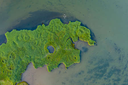 Drone top down bird's eye view landscape image of tidal wetlands in Christchurch Harbour on...