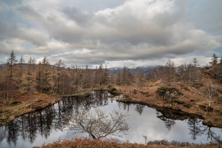 Epic Winter landscape image view from Holme Fell in Lake District towards snow capped mountain ranges in distance in glorious evening lightの写真素材