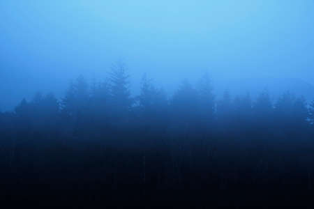 Beautiful landscape image of misty Derwentwater in Lake District on cold Winter morning