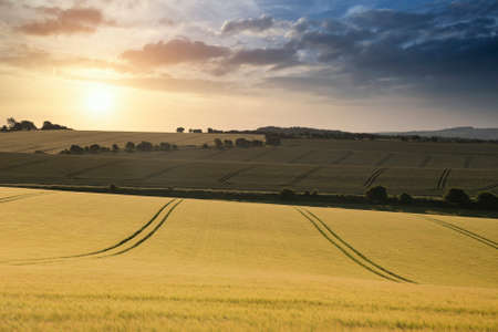 Beautiful Summer landscape of agricultural fields in English countryside during soft sunset light