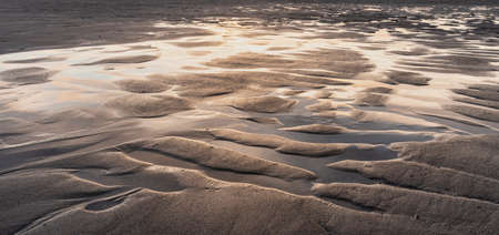 Beautiful beach abstract landscape close up with vibrant colors and beautiful golden light