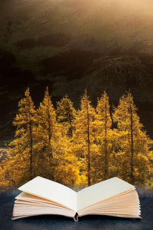Epic Autumn Fall landscape of backlit larch trees in valleys of Sleet Fell and Howstead Brow in Lake...