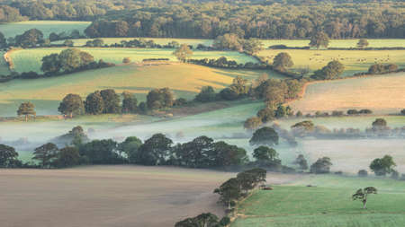 Stunning foggy morning landscape image looking across fields on the South Downs National Park in...