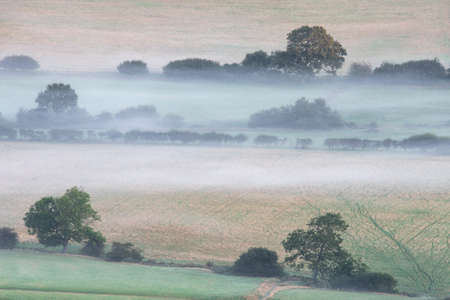 Stunning foggy morning landscape image looking across fields on the South Downs National Park in...