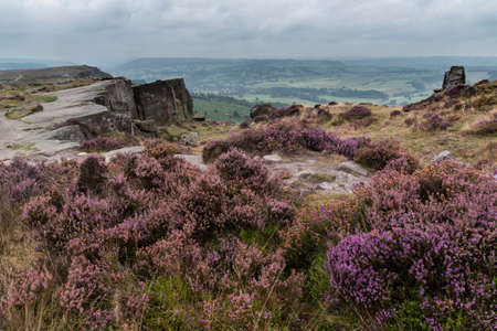 Stunning landscape image of late Summer vibrant heather at Curbar Edge in Peak District National Park in Englandの写真素材