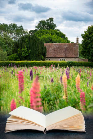 Digital composite image of Beautiful Summer meadow of vibrant lupin flowers in English countryside...