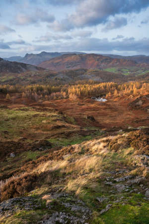 Epic Autumn sunset landscape image from Holme Fell looking towards Coniston Water in Lake Districtの写真素材