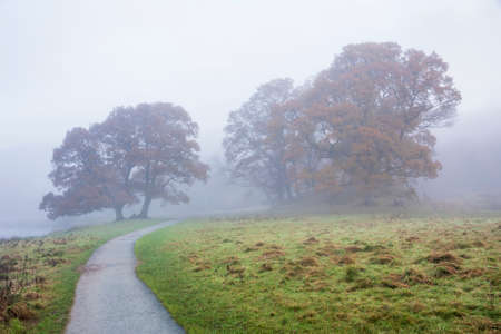 Epic Autumn landscape image of River Brathay in Lake District lookng towards Langdale Pikes with fog across river and vibrant woodlandsの写真素材