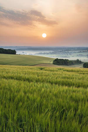 Beautiful Summer sunrise landscape image looking over fields with mist in distance and hazy sun low...