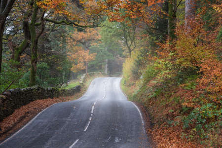 Beautiful landscape image of road winding through vibrant Autumn Dodd Woods forest in Lake Districtの写真素材