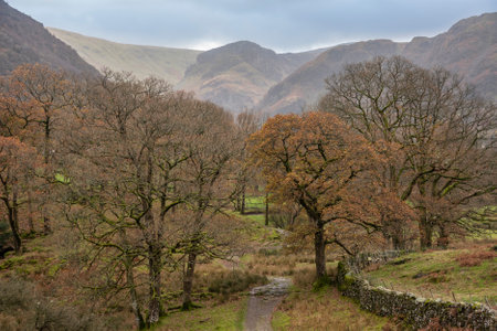 Stunning Autumn landscape image towards Valley from Castle Crag in Lake Districtの写真素材