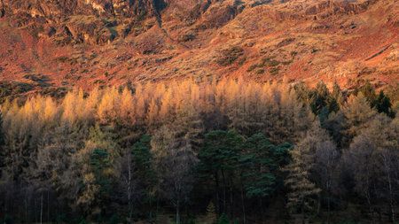 Epic landscape of sunrise light over Blea Tarn in Lake District with stunning light on distant mountainsの写真素材