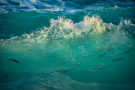 Powerful large turquoise colored waves crashing at Sennen Cove in Cornwall during late sunsetの写真素材