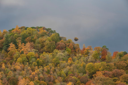 Abstract landscape Autumn image of view of islands in Derwentwater with sky reflections isolating...