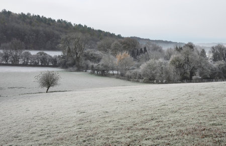 Beautiful Wintry landscape of farm in fog in English countryside at dawn with hoarfrost covering trees and buildingsの写真素材