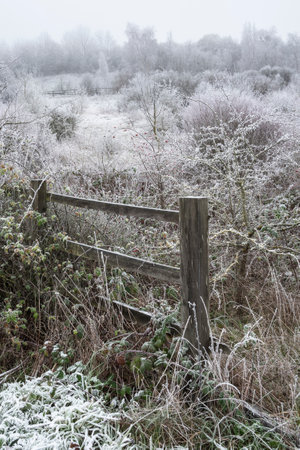 Beautiful Wintry landscape image of forest in English countryside covered in hoarfrostの写真素材