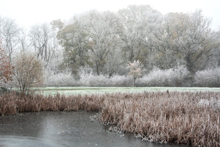 Beautiful Winter landscape image of small lake in front of forest covered in hoarfrost at dawnの写真素材