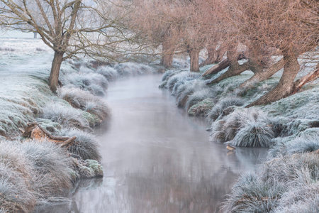 Beautiful Winter sunrise landscape image at dawn with hoarfrost on the plants and trees with golden...
