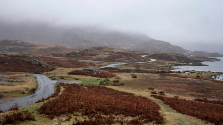 Beautiful dramatic Winter foggy landscape image of Wast Water in English Lake District with thick...