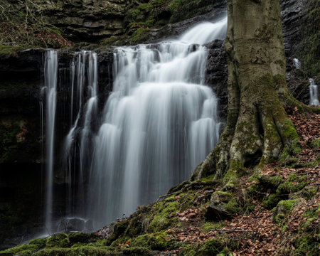 Beautiful peaceful landscape image of Scaleber Force waterfall in Yorkshire Dales in England during Winter morningの写真素材