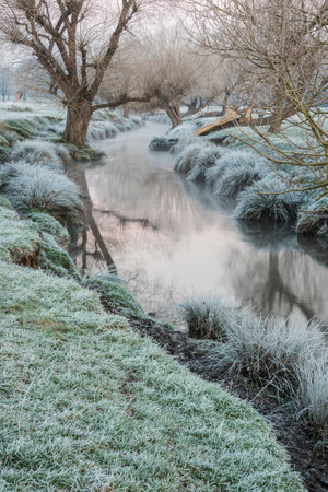 Beautiful Winter sunrise landscape image at dawn with hoarfrost on the plants and trees with golden hour sunrise lightの写真素材