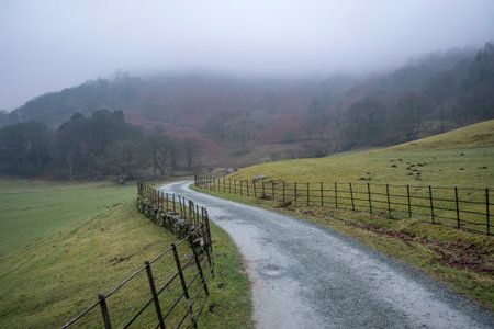 Beautiful Winter landscape image of road around Loughtrigg Tarn on misty morning with calm water and foggy countryside in the backgroundの写真素材