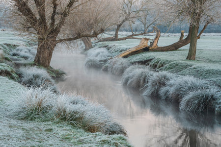 Beautiful Winter sunrise landscape image at dawn with hoarfrost on the plants and trees with golden hour sunrise lightの写真素材