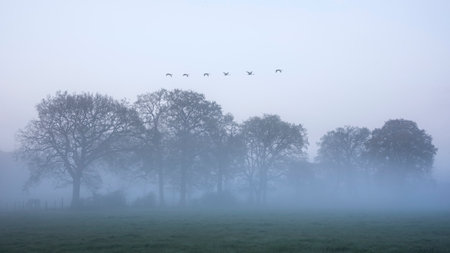 Beautiful foggy sunrise in English countryside with soft pastel sky and calm feelingの写真素材