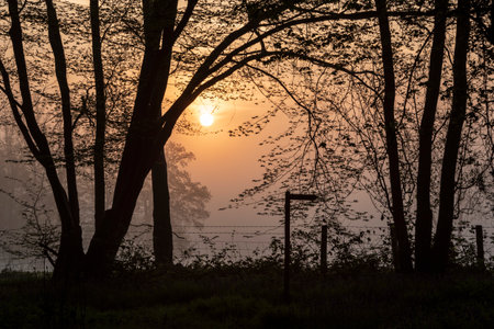 Beautiful foggy sunrise in English countryside with soft pastel sky and calm feelingの写真素材
