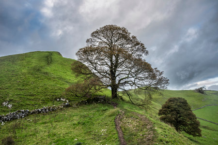 Beautiful landscape image of Chrome Hill in Autumn in Peak District National Park in English countrysideの写真素材