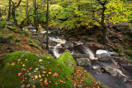 Stunning Autumn landscape image of woodland and golden leaves and river running through deep valley belowの写真素材