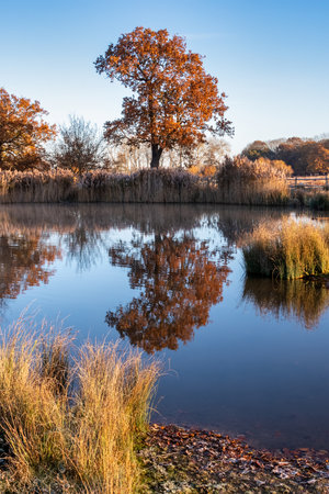 Beautiful Autumn Fall lakeside sunrise misty morning vibrant landscape imageの写真素材
