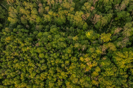 Beautiful Summer aerial drone landscape image of English countryside surrounding Firle Beacon in South Downs National Parkの写真素材