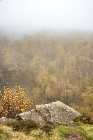 Stunning dramatic Autumn Fall landscape during misty morning in Padley Gorge in Peak Districtの写真素材