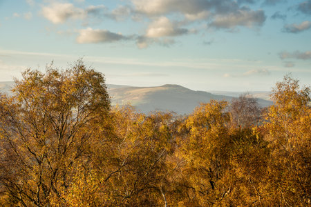 Beautiful Autumn Fall landscsape image of Peak District during peak colour in English countrysideの写真素材
