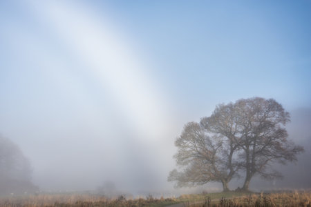 Atmospheric Autumn landscape image of rare fog bow over Elterwater riverbank with copse of treesの写真素材