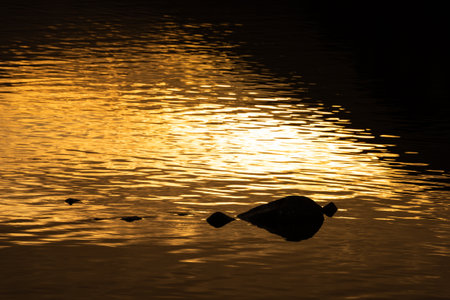 Lovely abstract landscape image of golden sunset reflected in Derwentwater in Lake Districtの写真素材