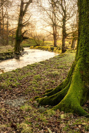 Beautiful Autumn sunrise landscape image of River Rathay in Lake Districtの写真素材