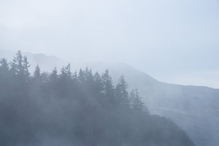 Atmospheric landscape image of a foggy sunrise in Autumnの写真素材