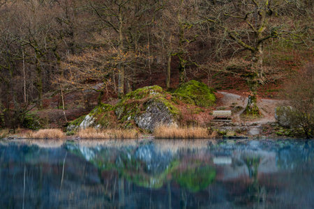 Beautiful crisp fresh morning landscape image around Grasmere in Lake Districtの写真素材
