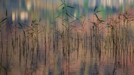 Beautiful crisp fresh morning landscape imageの写真素材