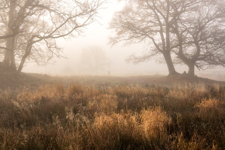 Stunning atmospheric sunrise landscape image of foggy morning at Elter Water around River Brathay in Lake Districtの写真素材