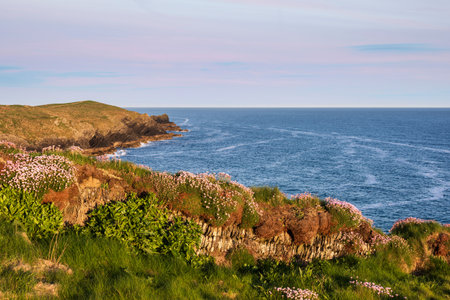 Stunning sunrise landscape of Pentire Headland in Cornwall England during lovely Summer morningの写真素材