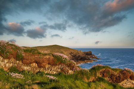 Stunning sunrise landscape of Pentire Headland in Cornwall England during lovely Summer morningの写真素材